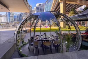 Dining Dome at Planar Restaurant1920c