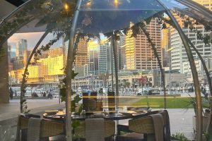 Dining-Dome-At-Planar-Restaurant-Darling-Harbour